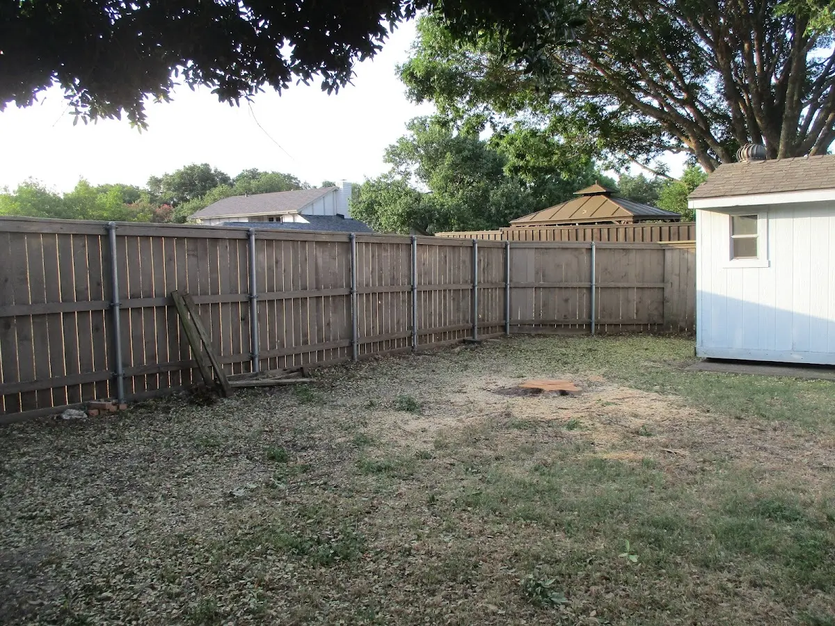 Cleared yard after professional tree removal in Port Hope